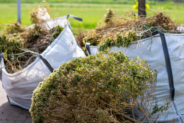 Best Trash Removal Near Me  in Cedar Springs, MI